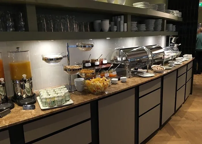 酒店 法兰克福酒店 美因河畔法兰克福